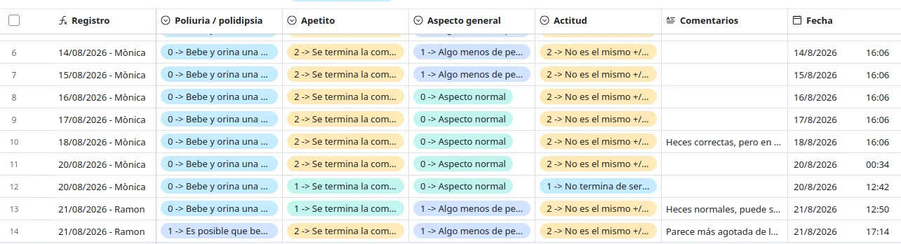 Vista de la tabla de observaciones en Airtable con el registro histórico